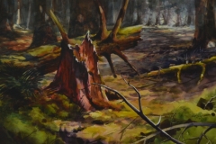 COOK'S FOREST - 22 X 29 - WATERCOLOR - $400