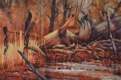 COPPER COLORED SWAMP - 22 X 29 - WATERCOLOR - $400