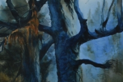 EARLY LIGHT ON TREE - 29 X 22 - WATERCOLOR - $400