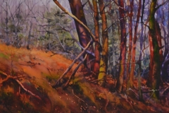 FOREST BLAZE - 22 X 29 - WATERCOLOR - $300