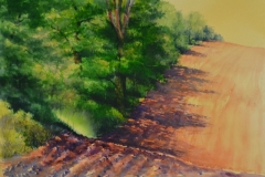 HEDGEROW GLOW - 29 X 36 - WATERCOLOR  - $500