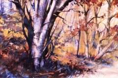 LATE FALL - 8 X 12 - WATERCOLOR - $250