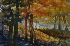 ORANGE LEAVES - 22 X 18 - WATERCOLOR - $200