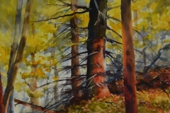 PINES AND YELLOWS - 22 X 29 - WATERCOLOR - $300