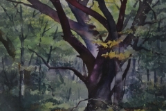 PURPLE TREE - 18 X 22 - WATERCOLOR - $200