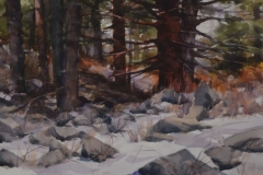 ROCKS AND PINES - 18 X 22 - WATERCOLOR - $300