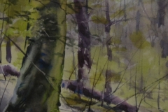 SPRING IN THE WOODS - 22 X 18 - WATERCOLOR - $300