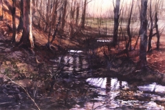 SPRING RUN - 22 X 29 - WATERCOLOR - $500