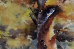 THE DEAD TREE - 29 X 22 - WATERCOLOR - $300