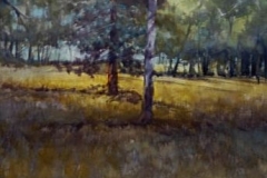 TREES IN THE FIELD - 18 X 22 - WATERCOLOR - $300