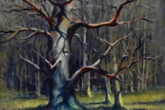 TWISTED TREE - 16 X 20 - OIL - $300