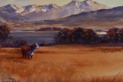 WESTERN PASTURE - 18 X 22 - WATERCOLOR - $200