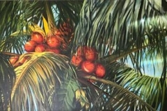 COCONUTS-40-X-72-OIL-3000