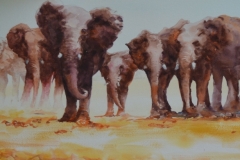 CURIOUS ELEPHANTS - WATERCOLOR - 18 X 36 - 450.