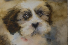 DOG-1-18-X-22-WATERCOLOR-400.