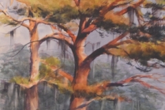 EVENING PINES - 29 X 22 - WATERCOLOR - $400