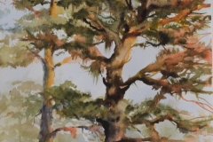 FLORIDA-PINES-22-X-18-WATERCOLOR-400.