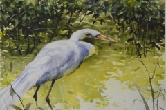 HERON-3-18-X-22-WATERCOLOR-300.