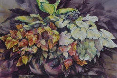 MIXED PLANTS - 29 X 36 - WATERCOLOR - $500