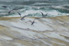 OBX # 6 - 6 X 9 - WATERCOLOR - $300