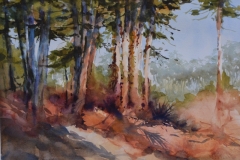 PINE GROVE - 11 X 22 - WATERCOLOR - $350