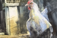 THE-HEN-18-X-22-WATERCOLOR-400